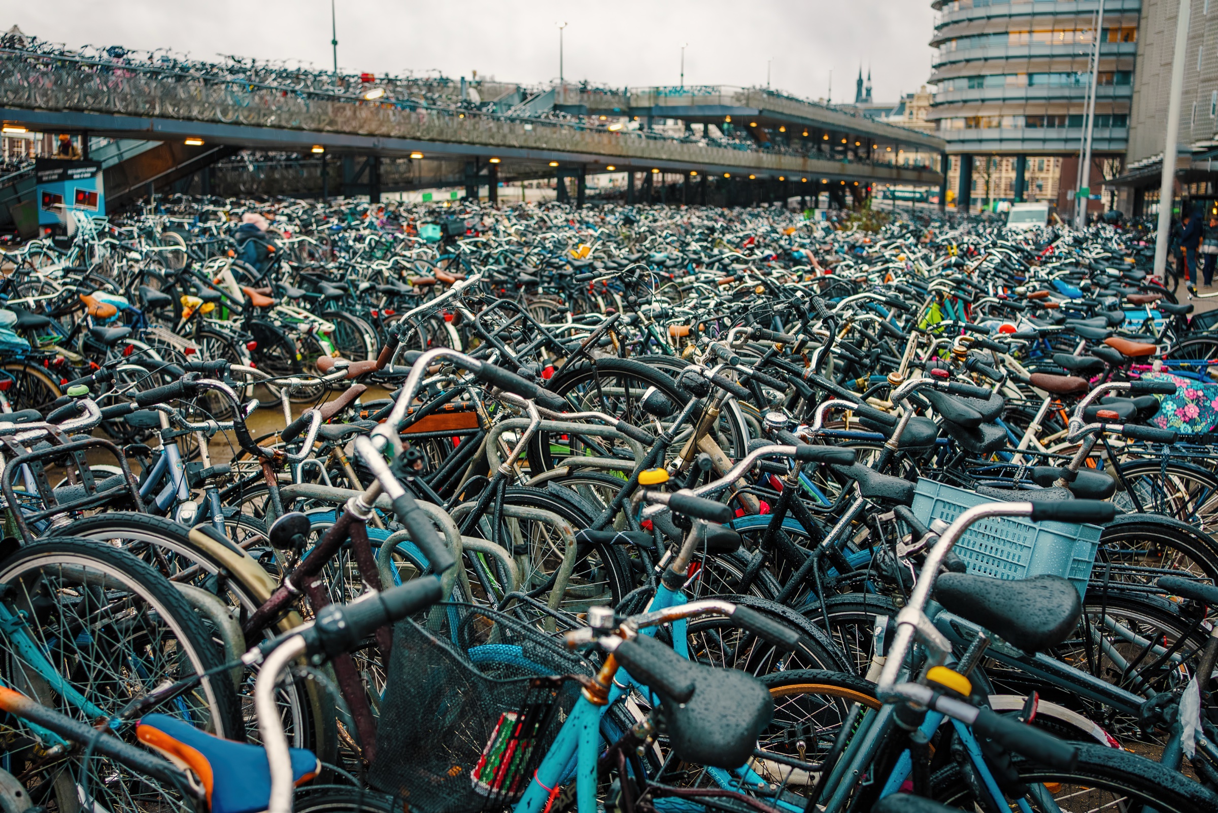 Rows of parked bikes in Amsterdam, the Dutch city with the highest bike theft risk in 2025