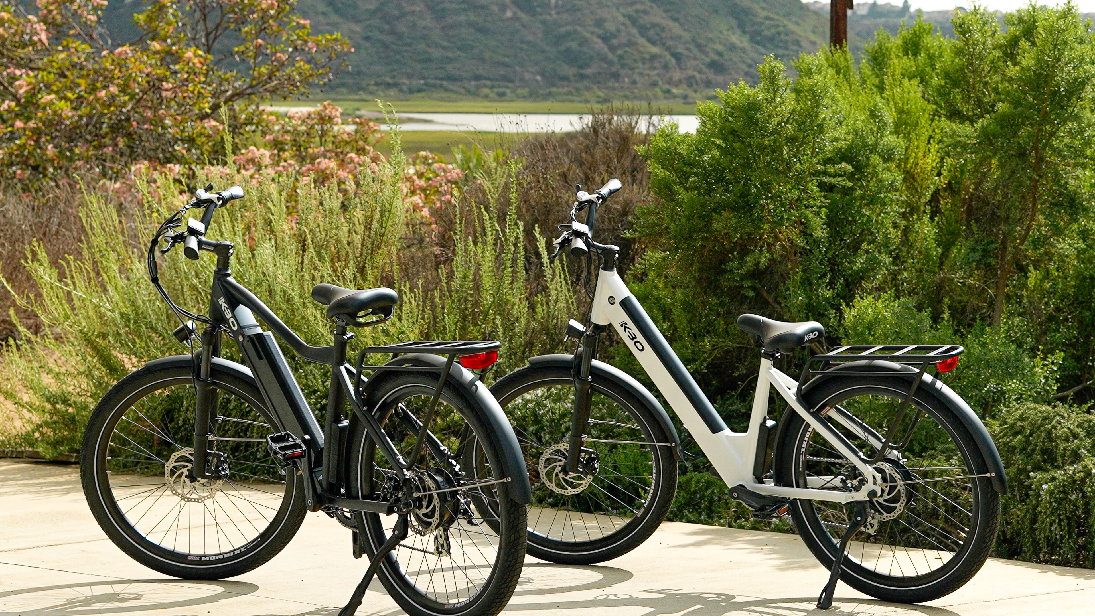 Two e-bikes in the nature